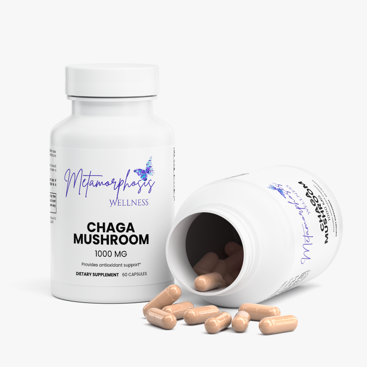 Chaga Mushroom